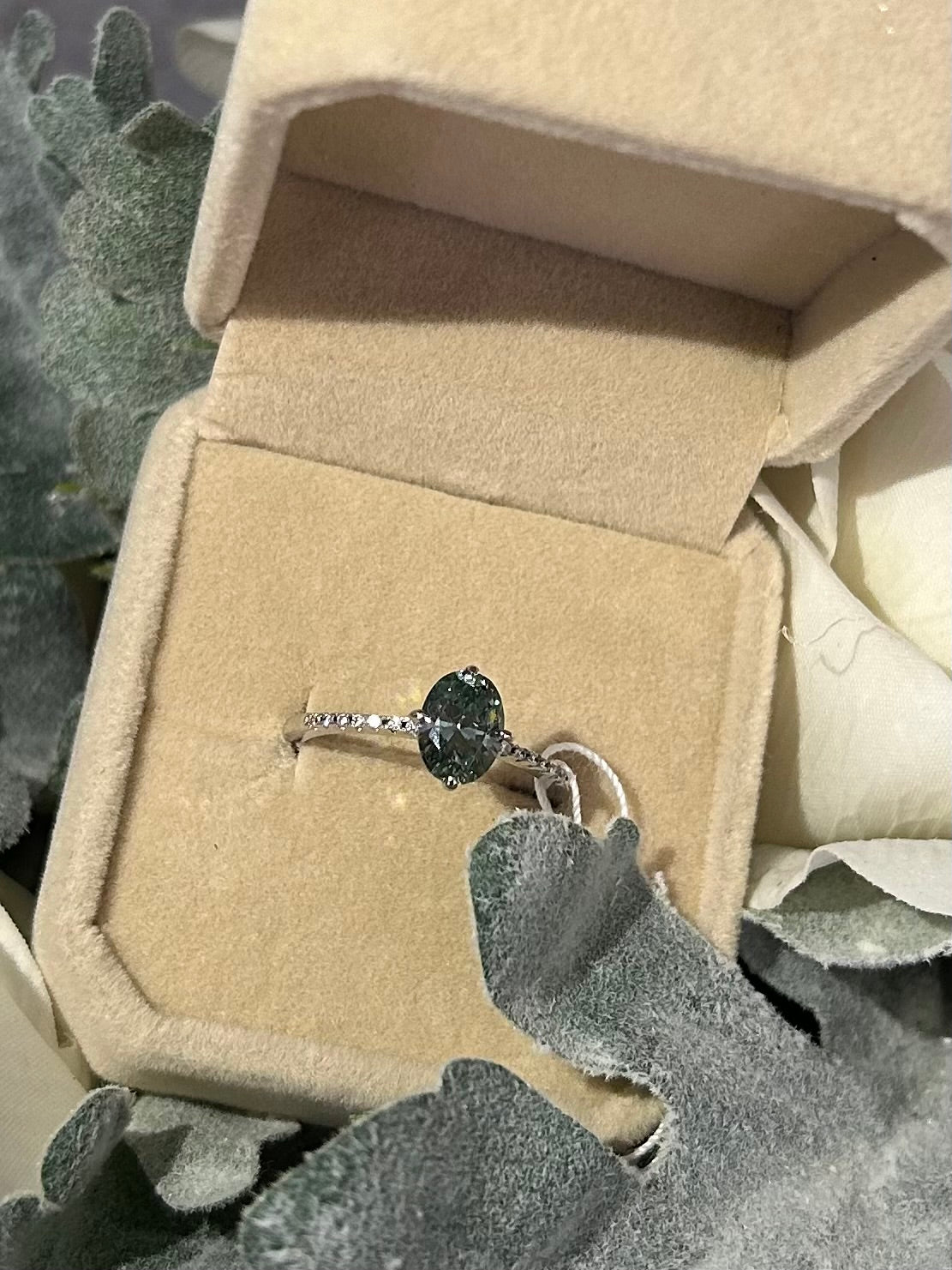 Anillo Isis