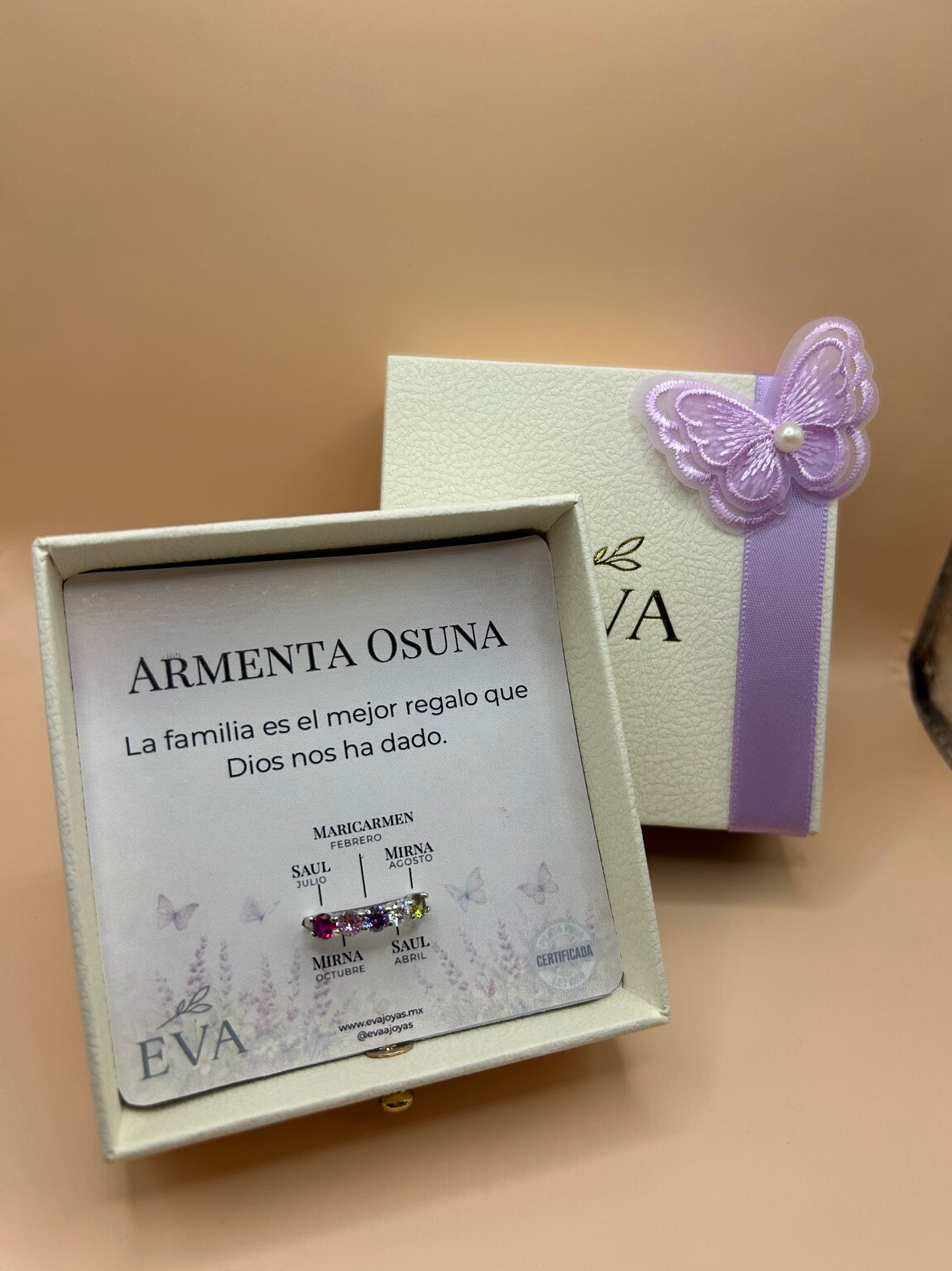 Anillo de Familia Colar | Zirconias