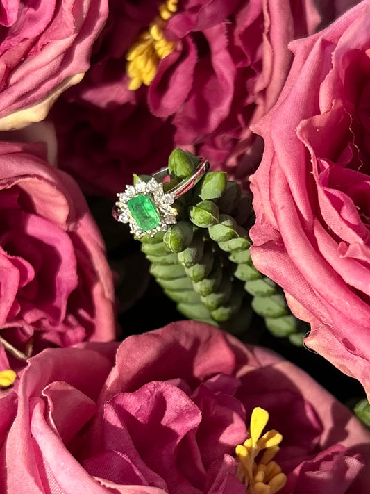 Anillo Carlota