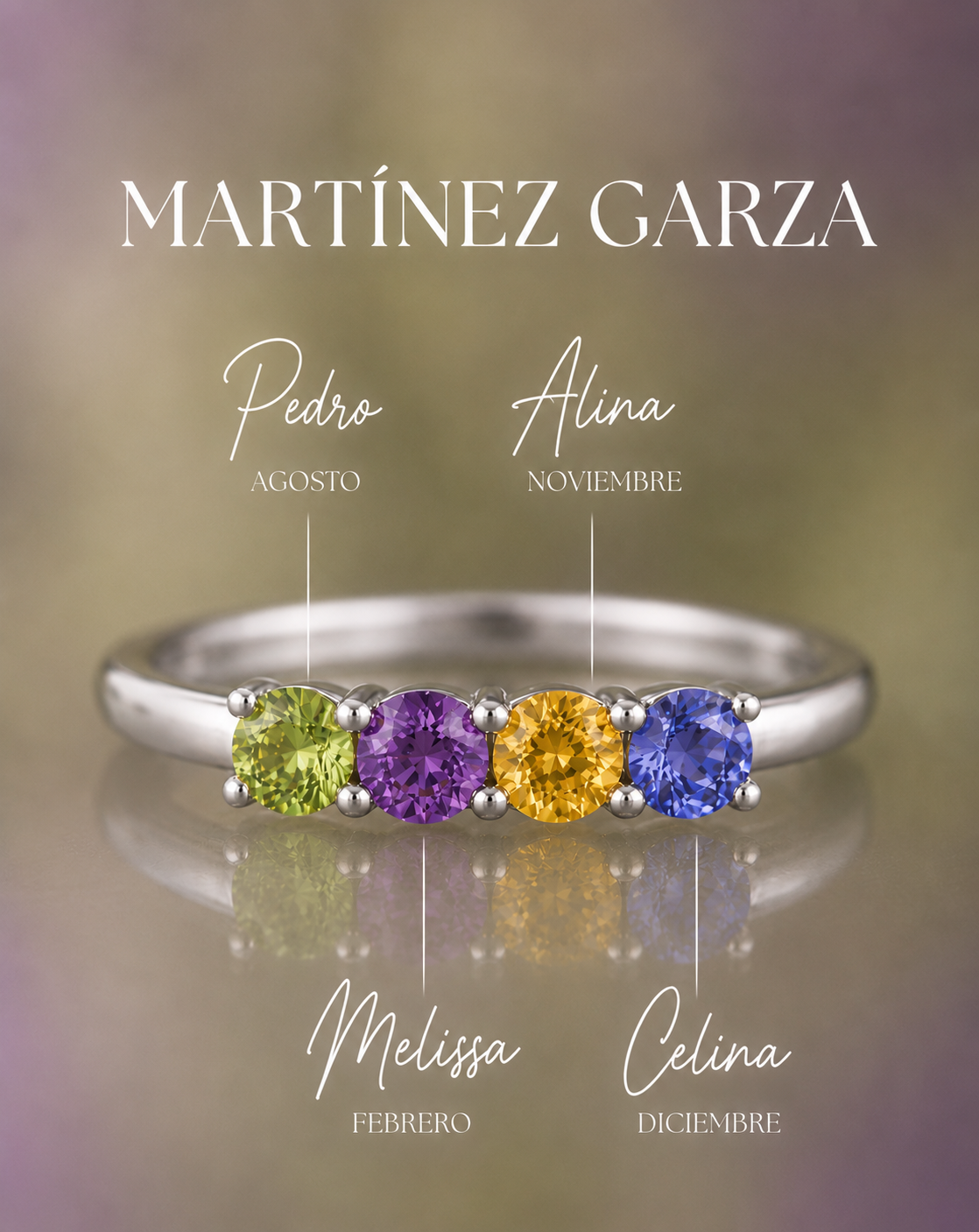 Anillo de Familia Colar | Zirconias