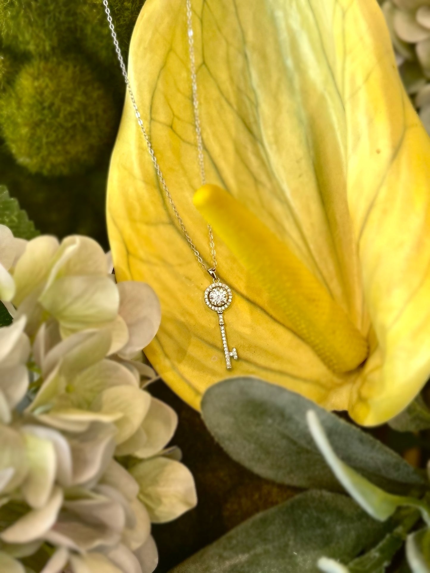 Collar llave